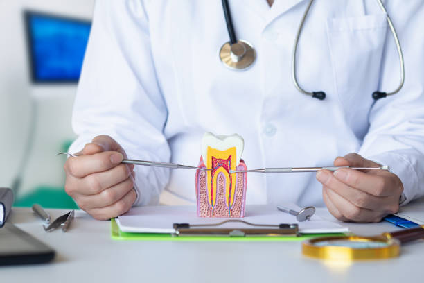 Best 24-Hour Emergency Dental Care in Huntsville, TX